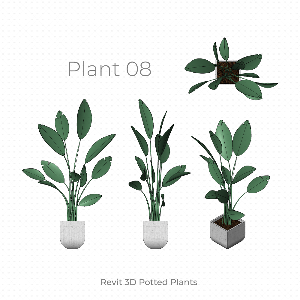 Revit Potted Plant Family rubber plant