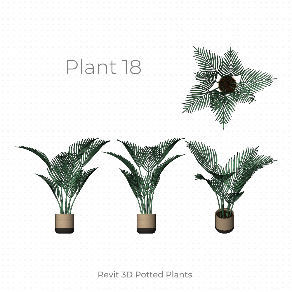 Revit Potted Plant Family palm