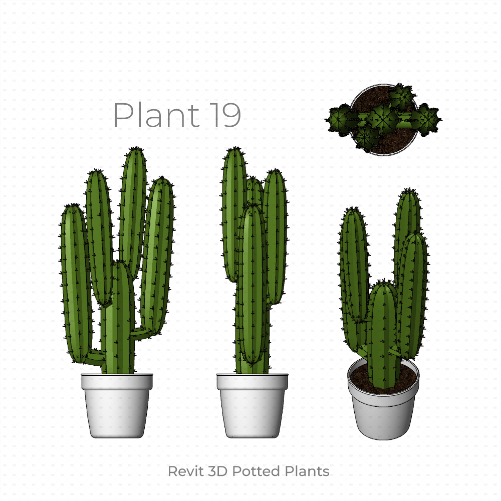 Revit Potted Plant Family cactus big
