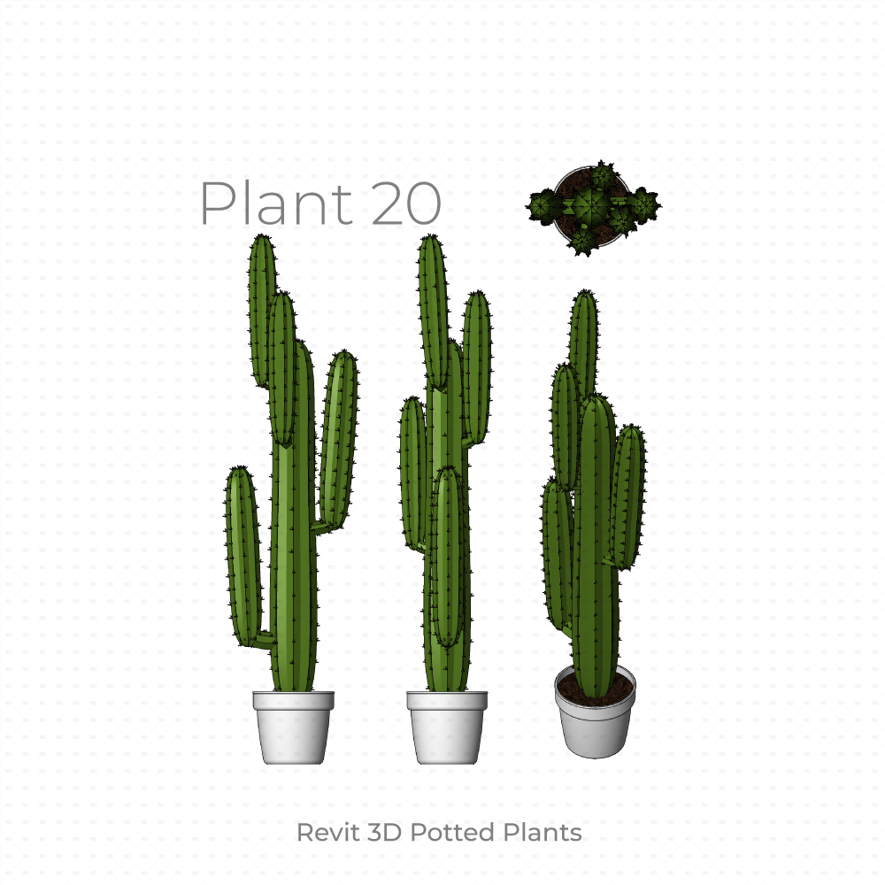 Revit Potted Plant Family cactus tall
